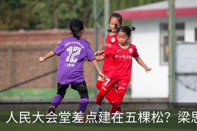 人民大会堂差点建在五棵松？梁思成的方案，为何最终输给了天安门