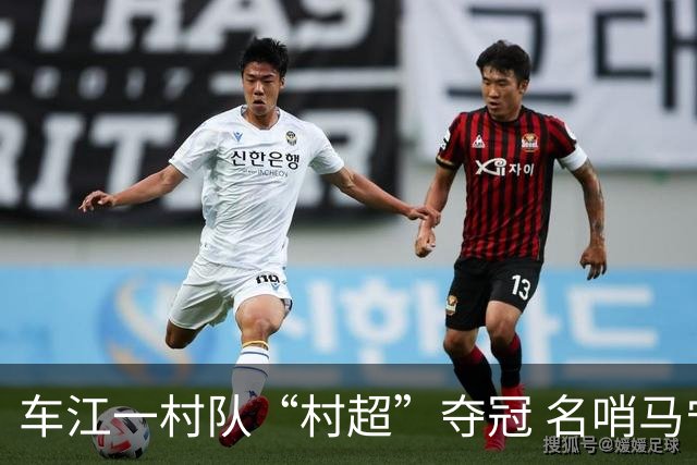车江一村队“村超”夺冠 名哨马宁现场助阵